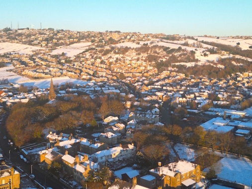 GOLCACR SNOW