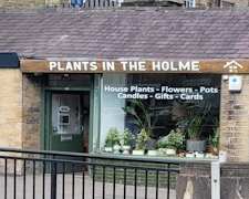 plants in the holme