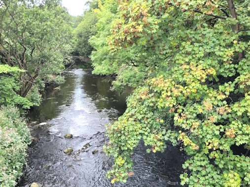 milnsbridge river cole looking west