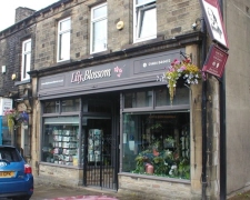 Lily Blossom Florist Marsden